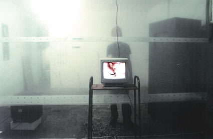 Kasia Kujawska-Murphy, outside-inside, Videoinstallation, Galerie Fortham, London, 2005